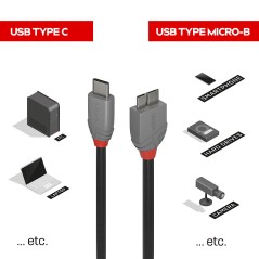 Lindy 2m USB 3.2 Type C to Micro-B Cable - High-Speed Data Transfer | 36622